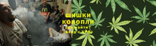 гидра Алексин